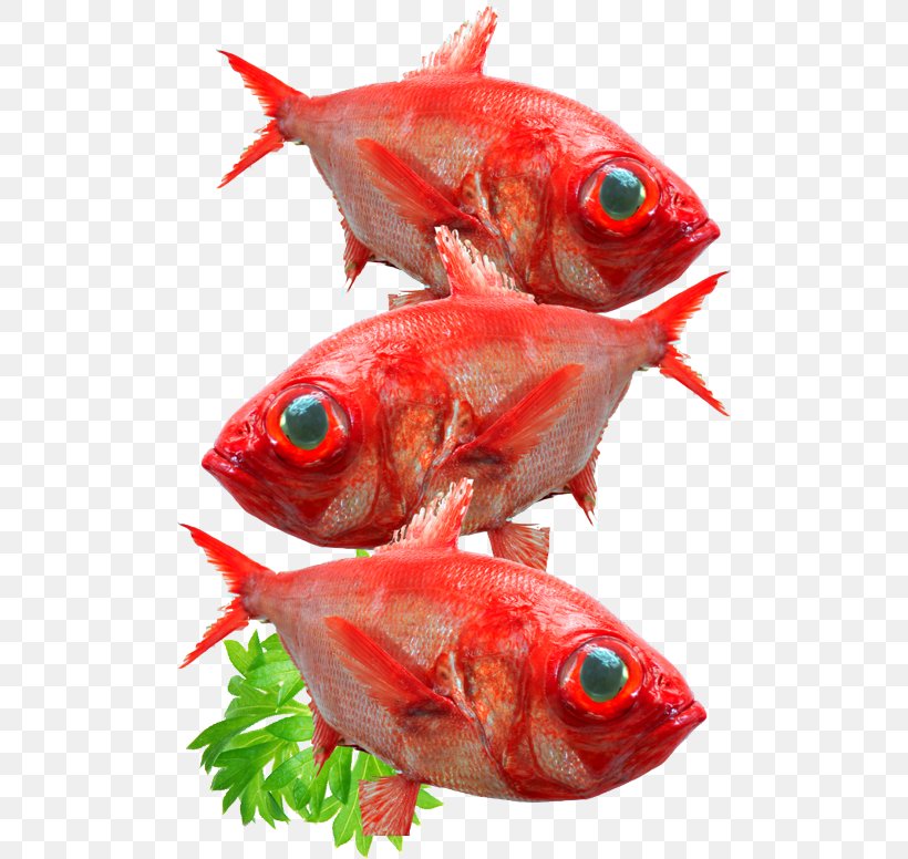 Star Lobster Seafood Mart Fish Products Northern Red Snapper, PNG, 500x776px, Star Lobster Seafood Mart, Animal Source Foods, Close Up, Fish, Fish Products Download Free