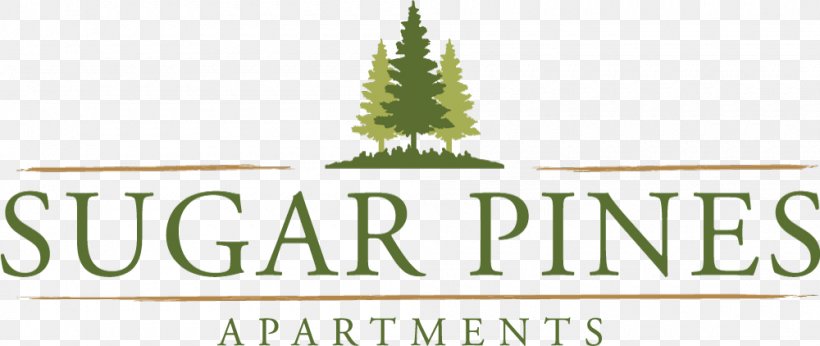 Logo Sugar Pines Apartments Christmas Tree, PNG, 1000x422px, Logo, Apartment, Brand, Christmas Tree, Conifer Download Free