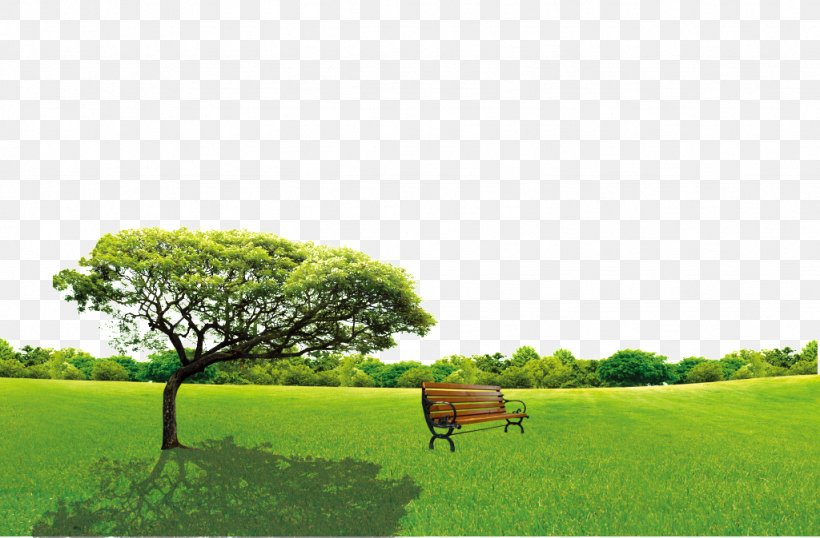 Tree Arbor Day Image Green, PNG, 1024x673px, Tree, Agriculture, Arbor Day, Farm, Field Download Free