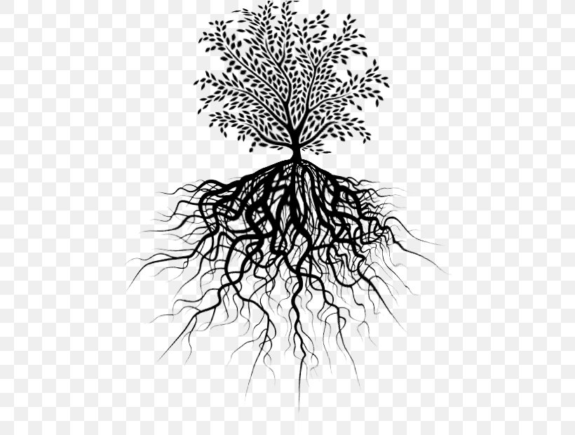 Twig Tree Of Life Root Branch, PNG, 470x620px, Twig, Black And White, Branch, Drawing, Flora Download Free