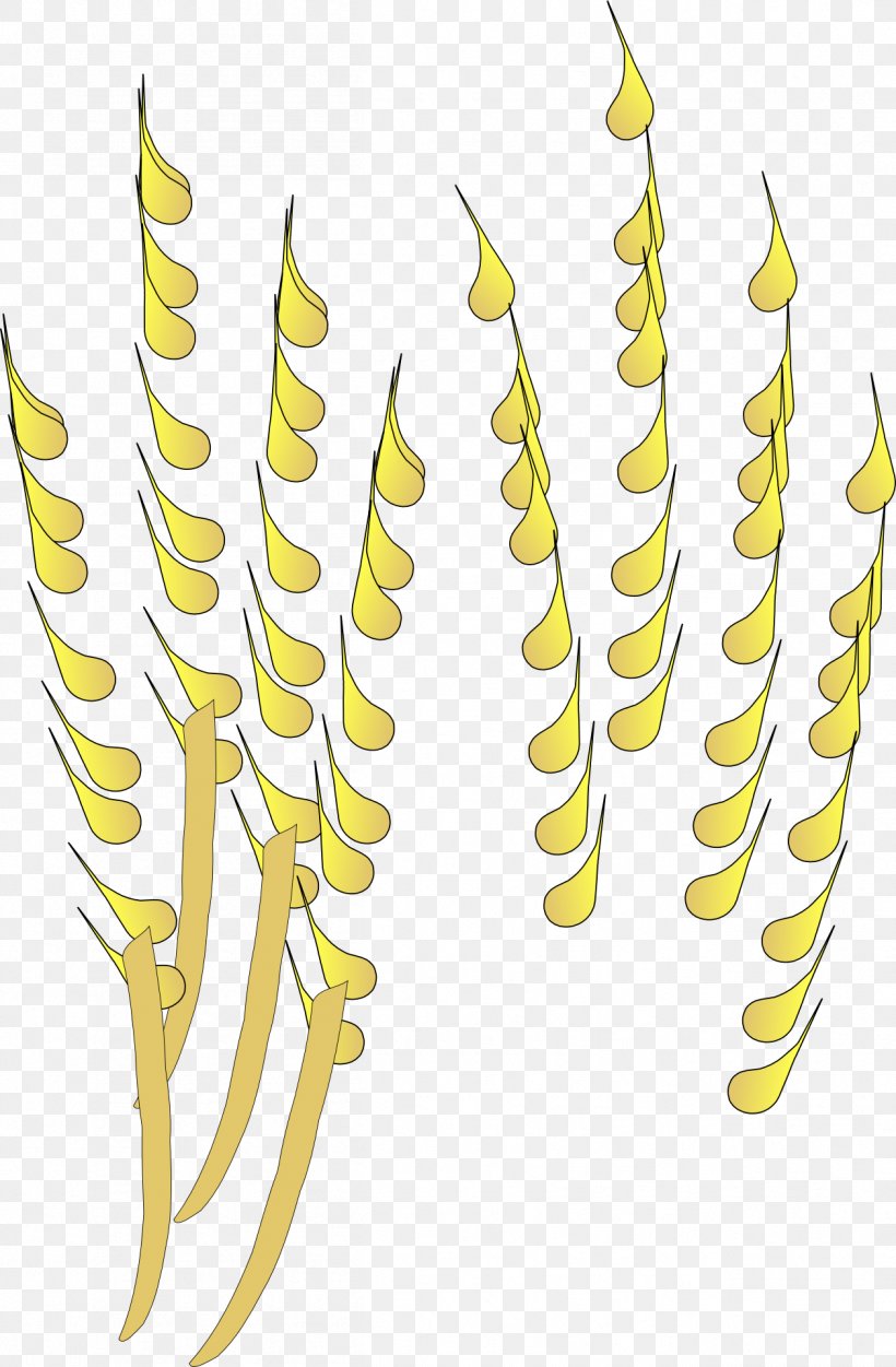 Wheat Cereal Pixabay Clip Art, PNG, 1258x1920px, Wheat, Cereal, Crop, Ear, Grain Download Free