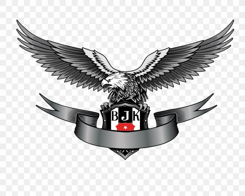 Clip Art Logo Bald Eagle Image, PNG, 1023x819px, Logo, Art, Bald Eagle, Banner, Drawing Download Free