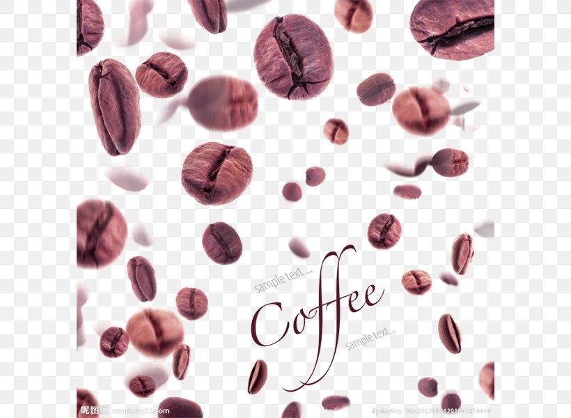Coffee Bean Espresso Caffxe8 Americano Tea, PNG, 600x600px, Coffee, Bean, Caffxe8 Americano, Coffee Bean, Coffee Cup Download Free