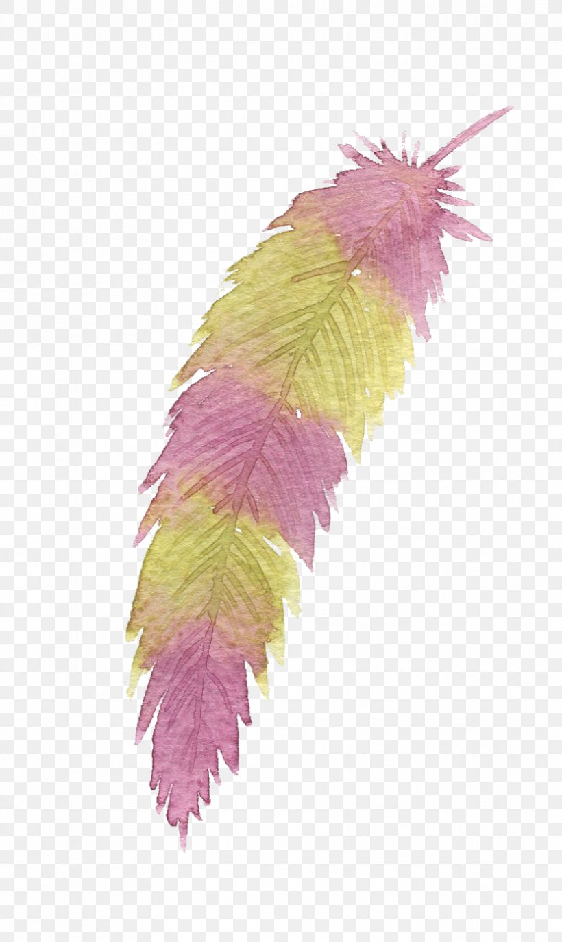Gouache Feather Yellow Purple, PNG, 831x1393px, Gouache, Color, Designer, Feather, Google Images Download Free