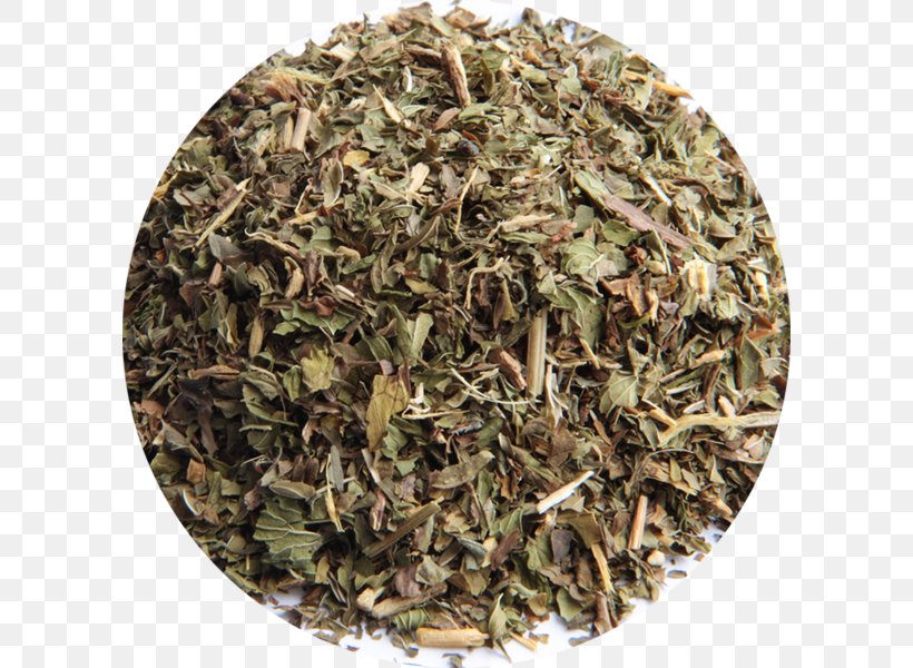 Gunpowder Tea Green Tea Maghrebi Mint Tea Twinings, PNG, 600x600px, Gunpowder Tea, Assam Tea, Bai Mudan, Bancha, Biluochun Download Free