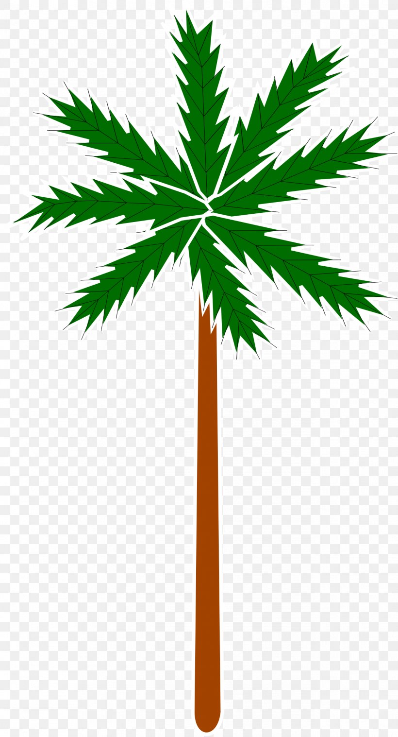 Arecaceae Clip Art, PNG, 1297x2400px, Arecaceae, Arecales, Borassus Flabellifer, Flowering Plant, Flowerpot Download Free