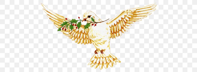 Domestic Pigeon Bird Clip Art, PNG, 500x299px, Domestic Pigeon, Angel, Beak, Bird, Bird Of Prey Download Free