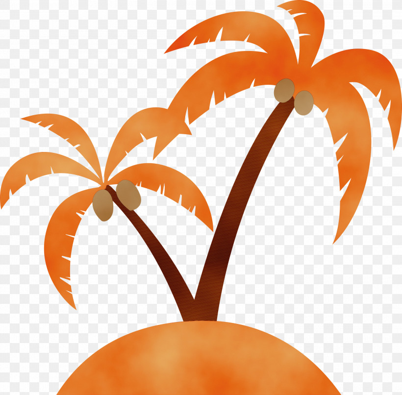 Flower Leaf M-tree Orange S.a., PNG, 3000x2951px, Palm Tree, Beach, Biology, Cartoon Tree, Flower Download Free