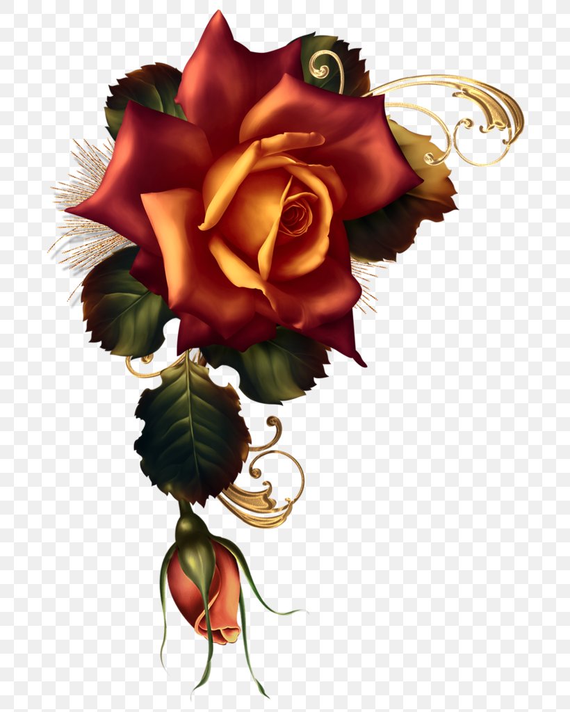Garden Roses Flower Floral Design Art, PNG, 707x1024px, Garden Roses, Art, Autumn, Botany, Bouquet Download Free