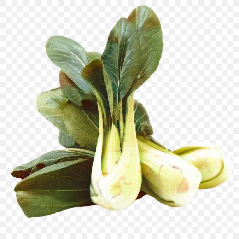 Leaf Background, PNG, 1200x1200px, Chard, Bok Choi, Chinese Cabbage, Choy Sum, Flower Download Free
