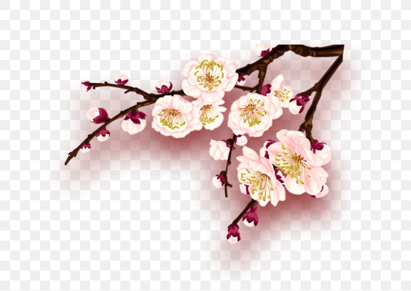 Flower New Year, PNG, 712x581px, Flower, Artificial Flower, Author, Blossom, Branch Download Free