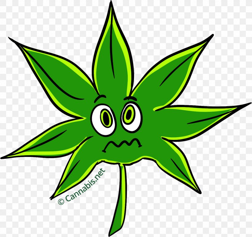 Marijuana Cannabis Sativa AppAdvice.com Clip Art, PNG, 1381x1297px, Marijuana, Appadvicecom, Artwork, Cannabis, Cannabis Sativa Download Free