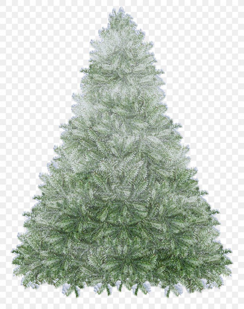 Spruce Fir Christmas Tree Christmas Decoration Evergreen, PNG, 1011x1280px, Spruce, Christmas, Christmas Decoration, Christmas Ornament, Christmas Tree Download Free