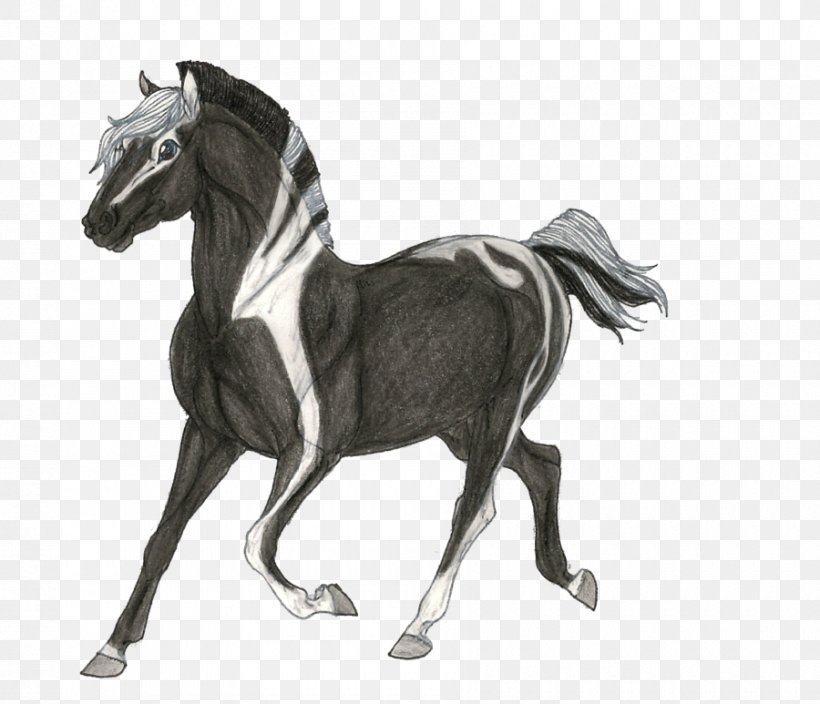 Stallion Mustang Mare Foal Colt, PNG, 900x773px, Stallion, Animal Figure, Blackandwhite, Bridle, Colt Download Free
