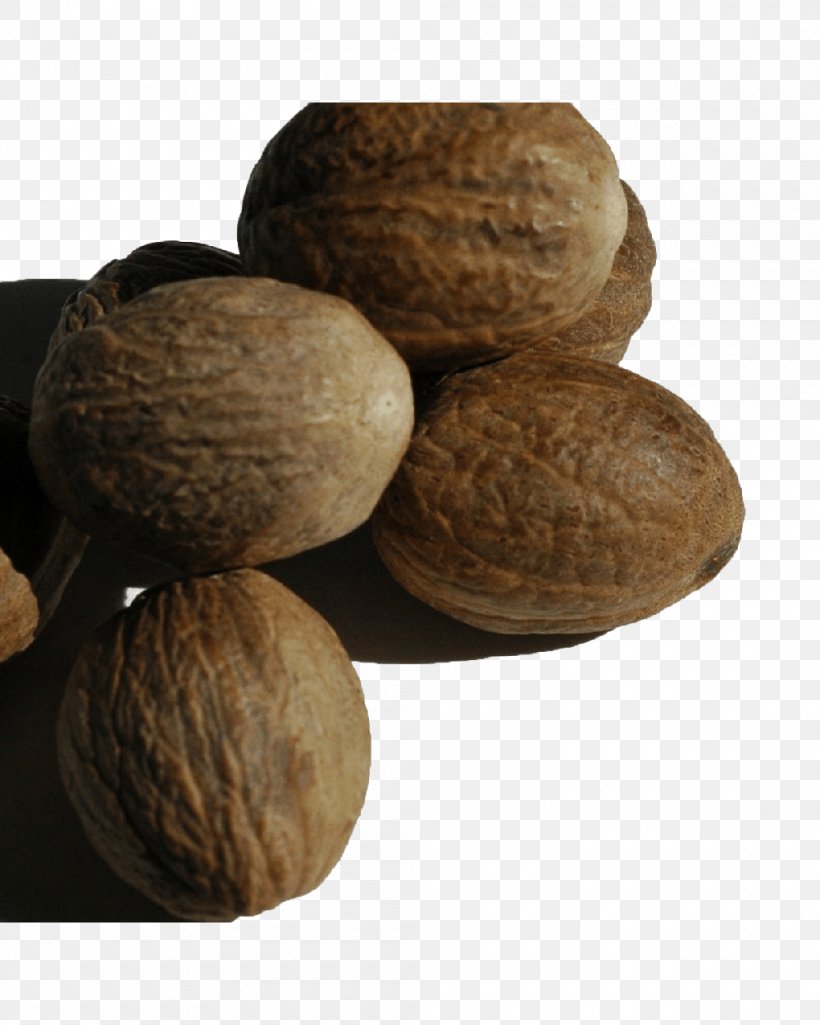 Walnut Tree Nut Allergy Ingredient VY2, PNG, 1000x1250px, Nut, Ingredient, Nuts Seeds, Seed, Tree Download Free
