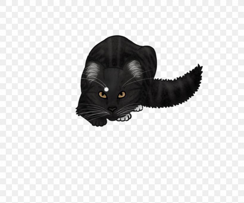 Whiskers Domestic Short-haired Cat Snout Black M, PNG, 979x816px, Whiskers, Black, Black Cat, Black M, Carnivoran Download Free