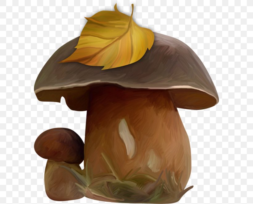 Edible Mushroom Agaricomycetes, PNG, 600x662px, Mushroom, Agaricomycetes, Edible Mushroom, Hat, Headgear Download Free