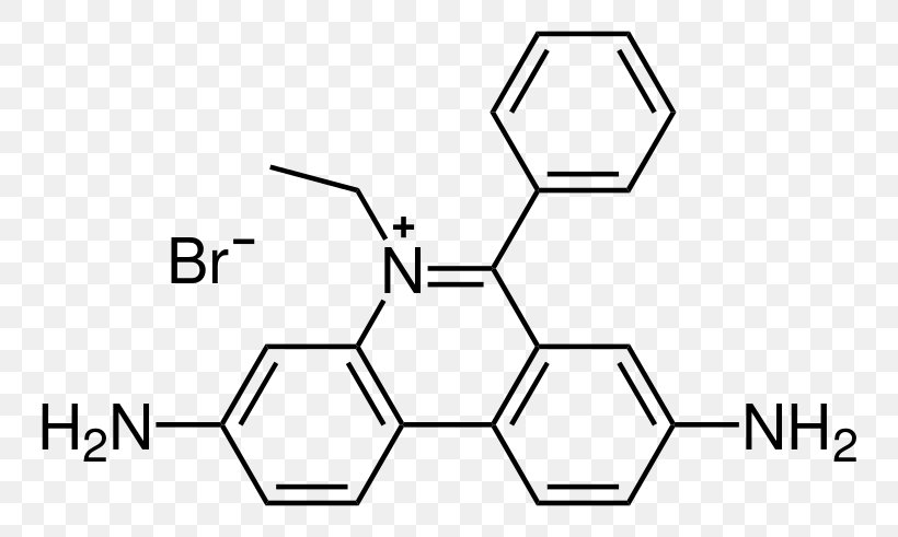 Ethidium Bromide Agarose Gel Electrophoresis Nucleic Acid, PNG, 800x491px, Ethidium Bromide, Agarose, Agarose Gel Electrophoresis, Area, Aromatization Download Free