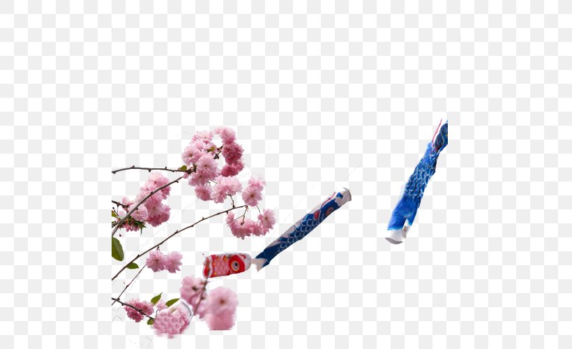 National Cherry Blossom Festival Common Carp, PNG, 500x500px, Blossom, Branch, Cherry, Cherry Blossom, Common Carp Download Free