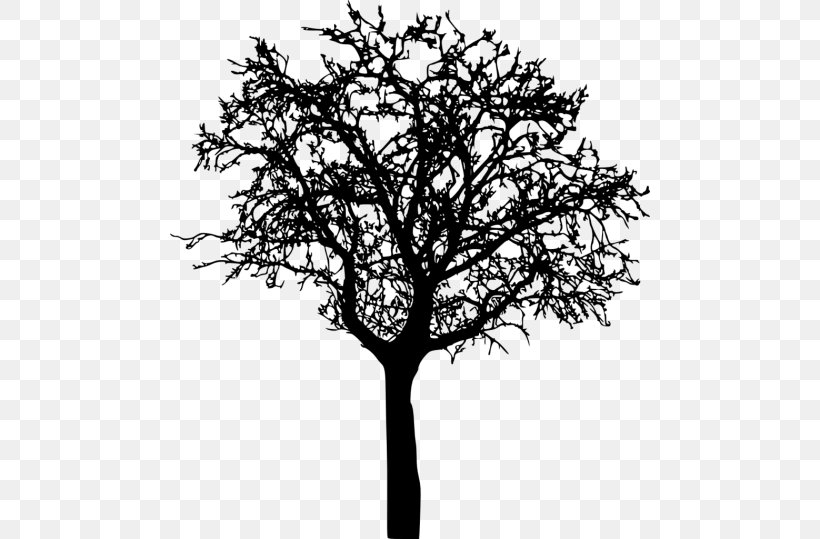 Twig Silhouette, PNG, 480x539px, Twig, Black And White, Branch, Information, Leaf Download Free
