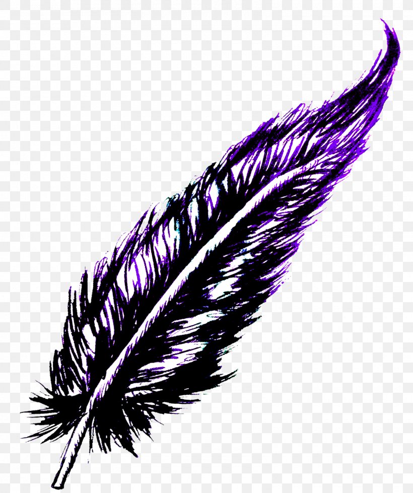 Feather, PNG, 1600x1911px, Feather, Purple, Quill, Violet, Wing Download Free