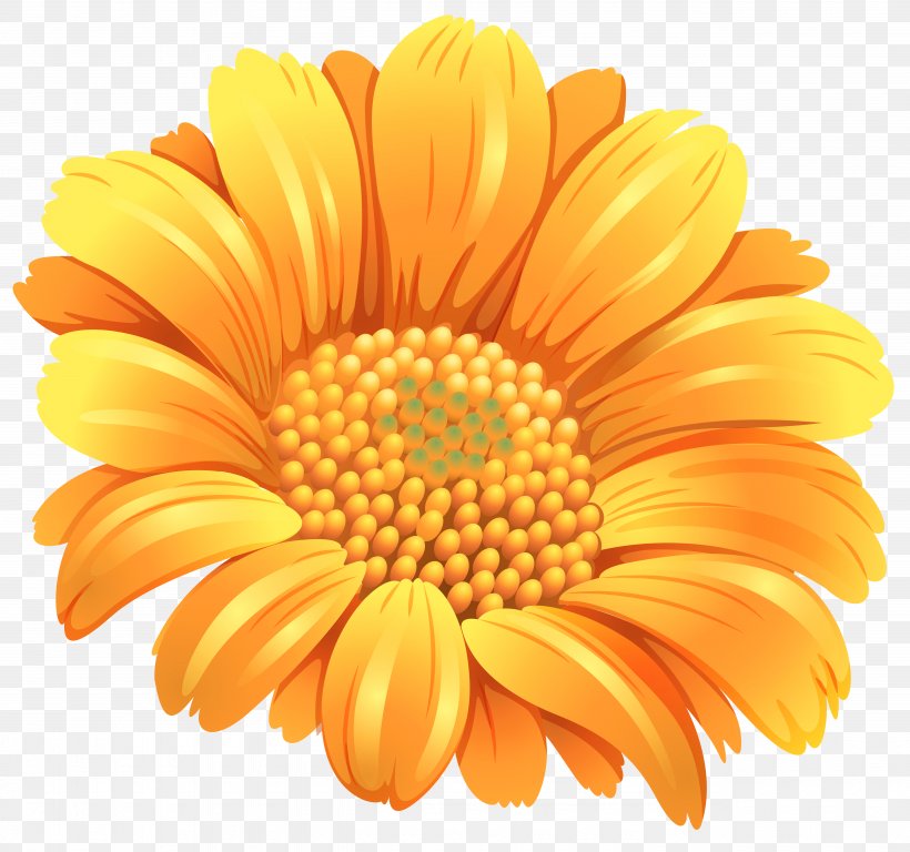 Flower Orange Common Daisy Clip Art, PNG, 5130x4807px, Flower, Calendula, Chrysanths, Common Daisy, Common Sunflower Download Free