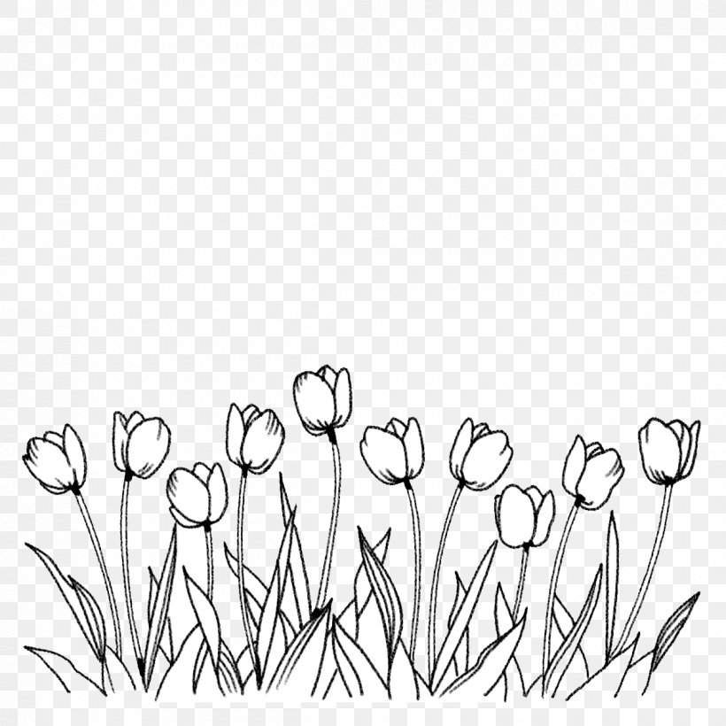 Flower Tulip Coloring Book Line Art Drawing, PNG, 1200x1200px, Flower, Area, Artwork, Black And White, Branch Download Free