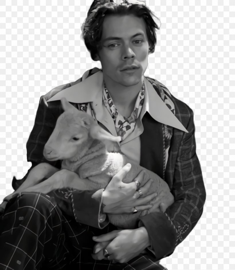 Portrait Blackandwhite, PNG, 934x1072px, Harry Styles, Behavior, Blackandwhite, Human, Jacket Download Free