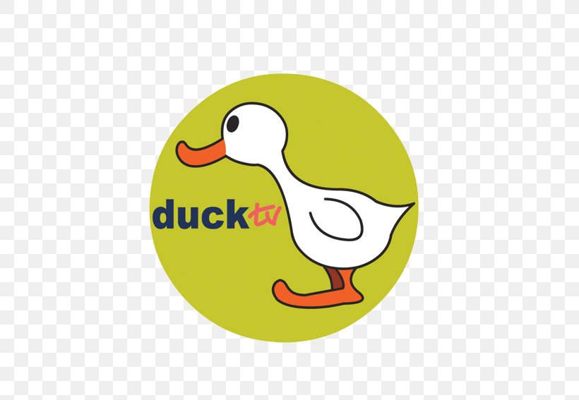 Television Channel Duck TV Television Show Logo, PNG, 567x567px, Television Channel, Beak, Bird, Dubai Tv, Duck Download Free