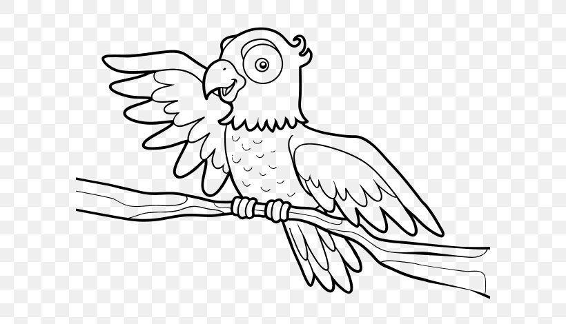 True Parrot Bird Coloring Book Drawing, PNG, 600x470px, True Parrot, Animal, Area, Art, Artwork Download Free