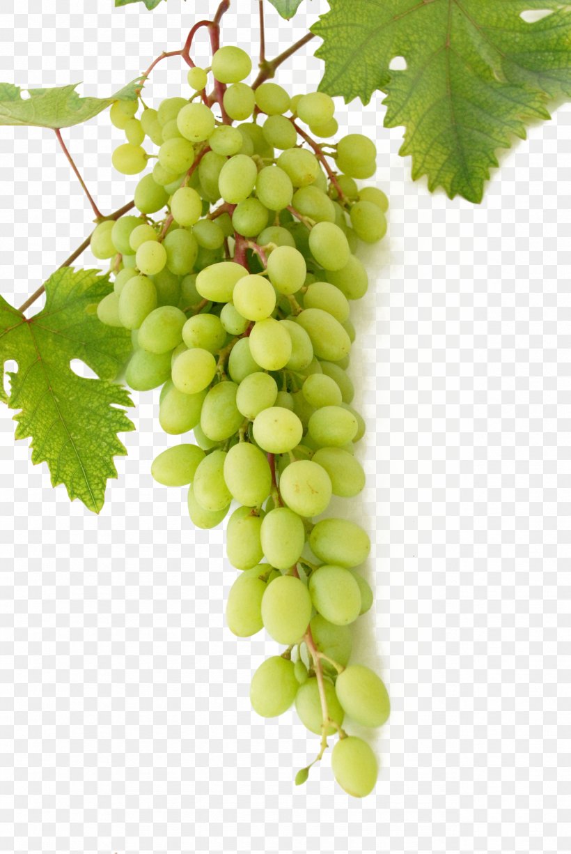 Wine Common Grape Vine Mousse Cream, PNG, 1279x1911px, Wine, Berry, Common Grape Vine, Cream, Food Download Free