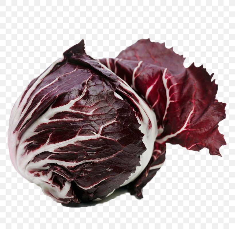 Chicory Red, PNG, 800x800px, Chicory, Bresaola, Cabbage, Cecina, Food Download Free