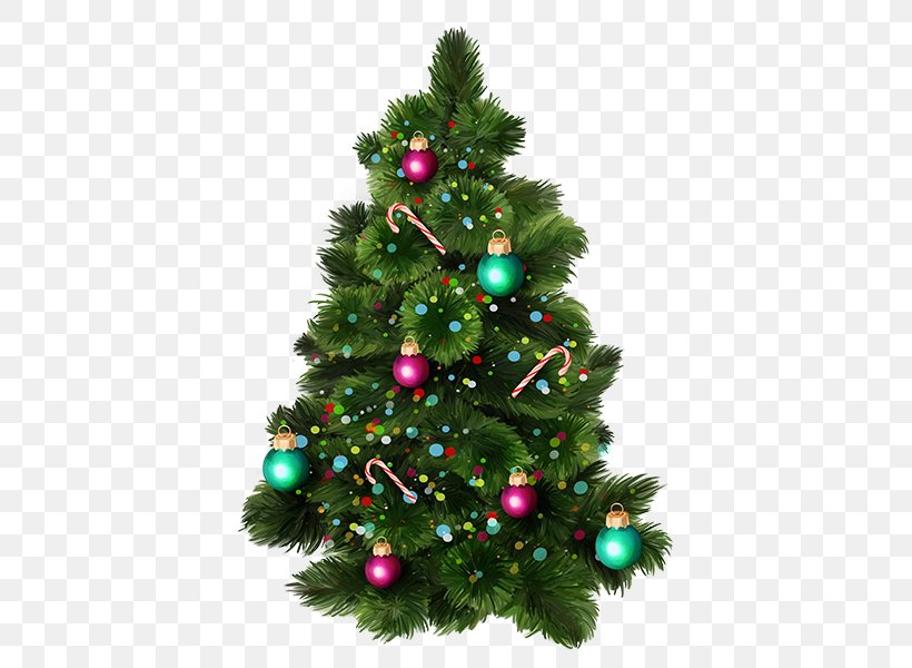 Christmas Tree Brush New Year Tree, PNG, 600x600px, Christmas Tree, Brush, Christmas, Christmas Decoration, Christmas Ornament Download Free