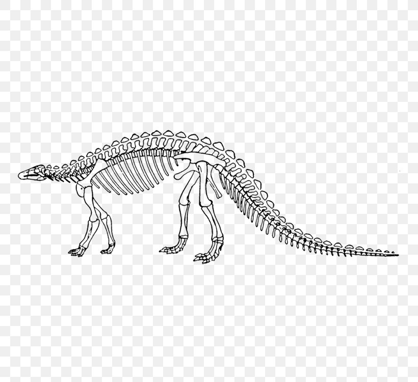 Dinosaur King Scelidosaurus Skeleton, PNG, 750x750px, Dinosaur King, Black And White, Dinosaur, Fauna, Human Skeleton Download Free