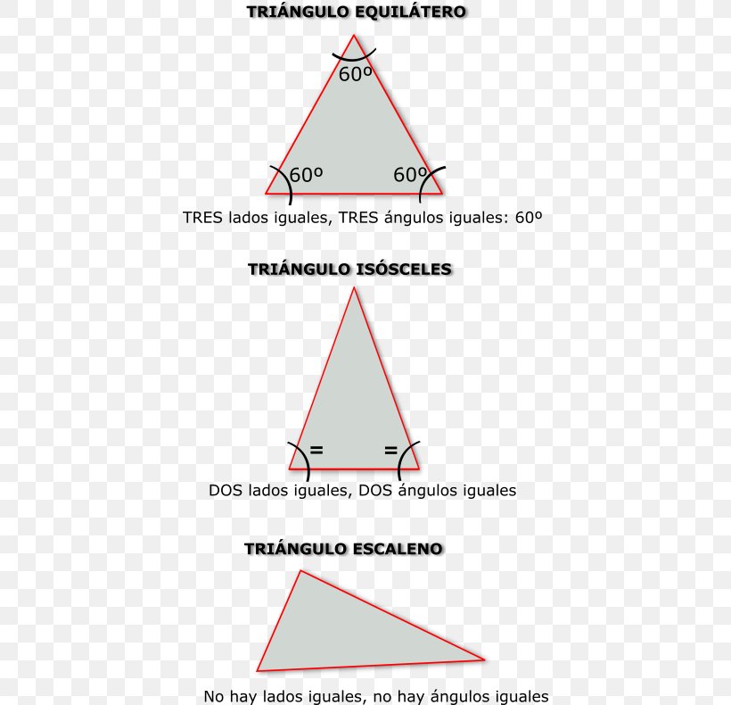 isosceles triangle equilateral triangle triangle escale png 410x790px triangle area concept definition description download free isosceles triangle equilateral triangle