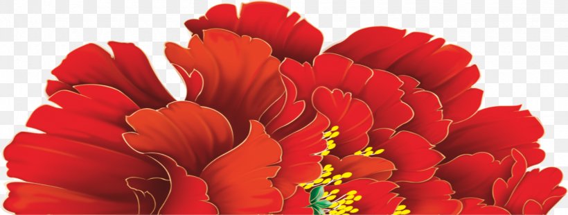 Red Moutan Peony, PNG, 1540x584px, Red, Cut Flowers, Flower, Flowering Plant, Moutan Peony Download Free