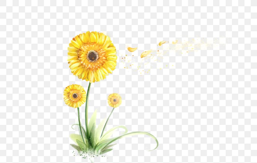 Chrysanthemum Flower Sin, PNG, 640x522px, Chrysanthemum, Chrysanths, Cut Flowers, Daisy, Daisy Family Download Free