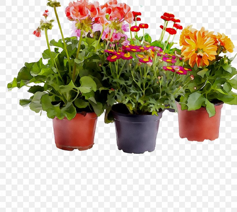 Cut Flowers Annual Plant Herb Flowering Plant Plants, PNG, 1293x1160px, Cut Flowers, Annual Plant, Artificial Flower, Barberton Daisy, Flower Download Free