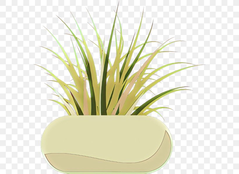 Grass Plant Yellow Grass Family Flowerpot, PNG, 594x596px, Cartoon, Flower, Flowerpot, Grass, Grass Family Download Free