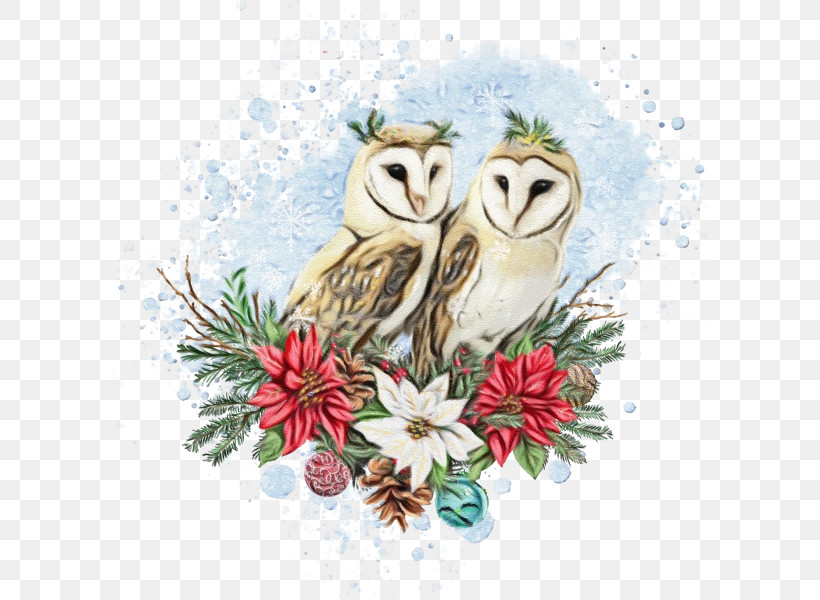 Owl Bird Bird Of Prey Barn Owl Snowy Owl, PNG, 600x600px, Watercolor, Barn Owl, Bird, Bird Of Prey, Branch Download Free