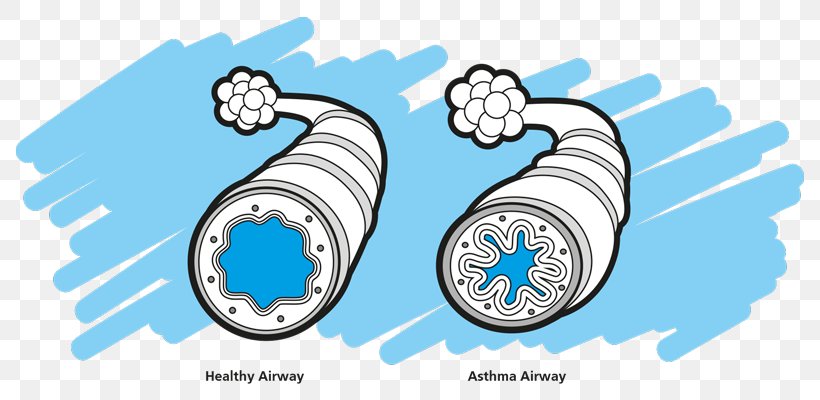 Asthma Spacer Nursing Care Plan Disease Clip Art, PNG, 800x400px, Watercolor, Cartoon, Flower, Frame, Heart Download Free