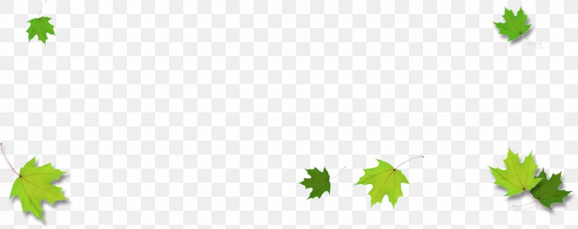 Autumn Leaf Color Clip Art, PNG, 1352x539px, Leaf, Autumn, Autumn Leaf Color, Branch, Clover Download Free