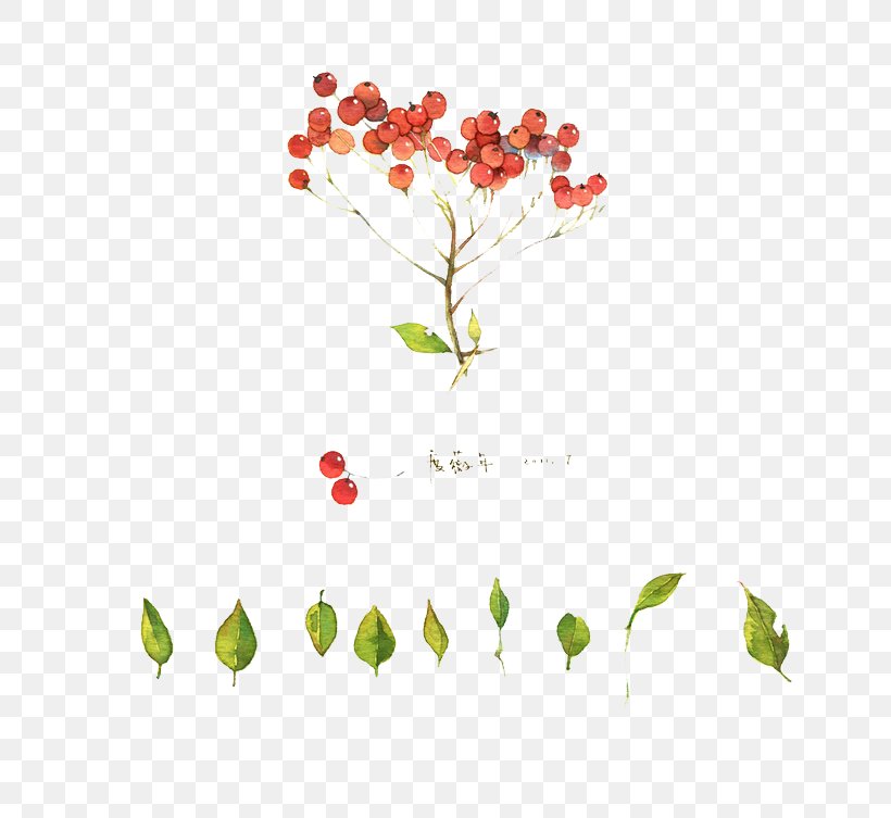 Painting Art Illustration, PNG, 658x753px, Painting, Art, Branch, Color, Flora Download Free