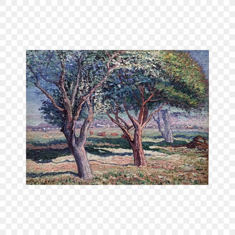 Savanna Shrubland Plant Community Painting Landscape, PNG, 1400x1400px, Savanna, Branch, Community, Ecosystem, Grass Download Free