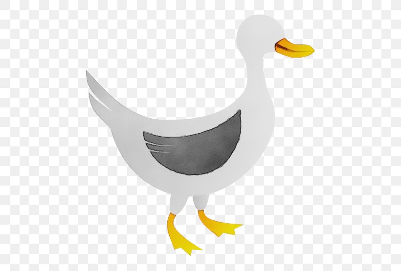 Water Background, PNG, 555x555px, Duck, American Black Duck, Beak, Bird, Ducks Geese And Swans Download Free