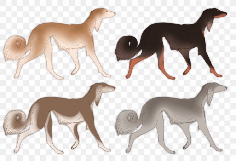 Italian Greyhound Whippet Sloughi Saluki Dog Breed, PNG, 1280x876px, Italian Greyhound, Animal, Animal Figure, Breed, Carnivoran Download Free