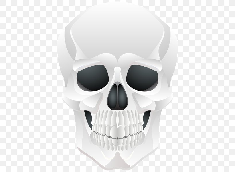 Skull Clip Art, PNG, 430x600px, Skull, Bone, Diagram, Halloween, Head Download Free