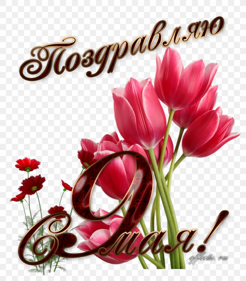 Tulip Flower Clip Art, PNG, 896x1024px, Tulip, Cut Flowers, Floral Design, Floristry, Flower Download Free