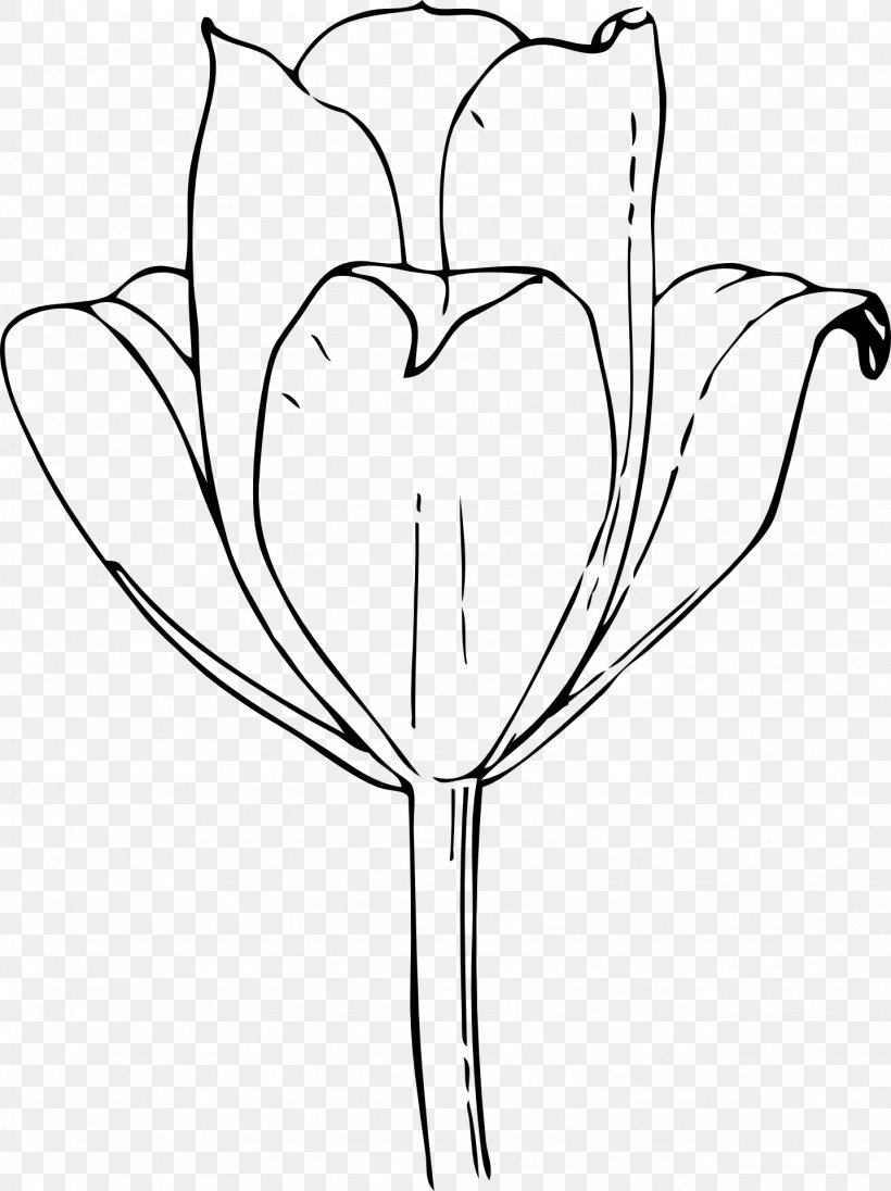 Tulip Flower Drawing Clip Art, PNG, 1436x1920px, Watercolor, Cartoon, Flower, Frame, Heart Download Free