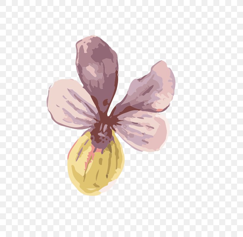 Watercolor Painting Oil Painting, PNG, 800x800px, Watercolor Painting, Butterfly, Drawing, Flower, Gratis Download Free